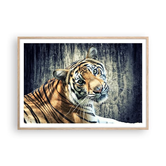 Obraz - Plakat - Portret w strugach światła - 100x70cm - Zwierzęta Tygrys Afryka - Foto Plakaty w ramie koloru jasny dąb do Salonu Sypialni ARTTOR ARTTOR