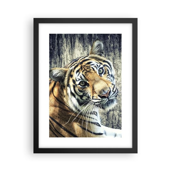 Obraz - Plakat - Portret w strugach światła - 30x40cm - Zwierzęta Tygrys Afryka - Foto Plakaty na ścianę w czarnej ramie - Plakat do Salonu Sypialni ARTTOR ARTTOR