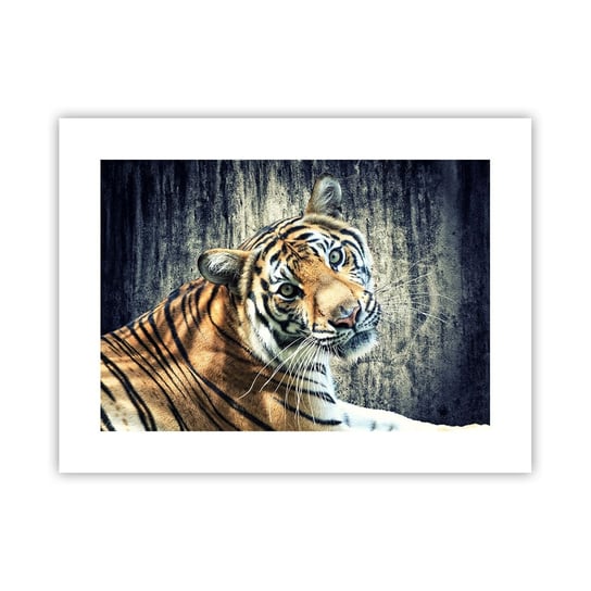 Obraz - Plakat - Portret w strugach światła - 40x30cm - Zwierzęta Tygrys Afryka - Foto Plakaty na ścianę bez ramy - Plakat do Salonu Sypialni ARTTOR ARTTOR
