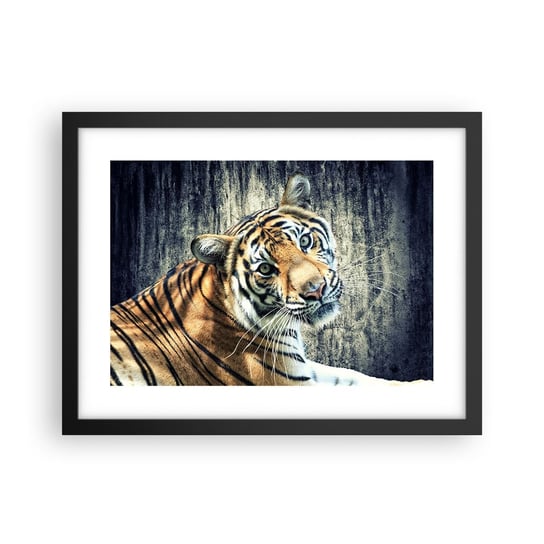 Obraz - Plakat - Portret w strugach światła - 40x30cm - Zwierzęta Tygrys Afryka - Foto Plakaty na ścianę w czarnej ramie - Plakat do Salonu Sypialni ARTTOR ARTTOR