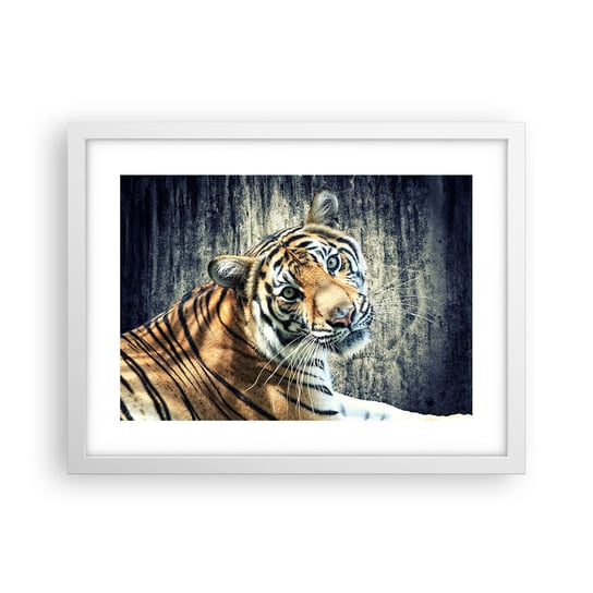 Obraz - Plakat - Portret w strugach światła - 40x30cm - Zwierzęta Tygrys Afryka - Foto Plakaty na ścianę w ramie białej - Plakat do Salonu Sypialni ARTTOR ARTTOR