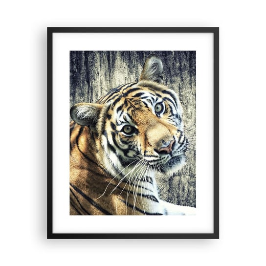 Obraz - Plakat - Portret w strugach światła - 40x50cm - Zwierzęta Tygrys Afryka - Foto Plakaty w ramie koloru czarnego do Salonu Sypialni ARTTOR ARTTOR