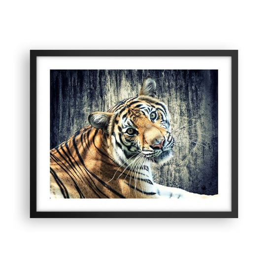 Obraz - Plakat - Portret w strugach światła - 50x40cm - Zwierzęta Tygrys Afryka - Foto Plakaty w ramie koloru czarnego do Salonu Sypialni ARTTOR ARTTOR