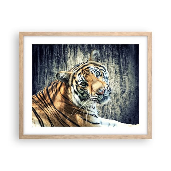 Obraz - Plakat - Portret w strugach światła - 50x40cm - Zwierzęta Tygrys Afryka - Foto Plakaty w ramie koloru jasny dąb do Salonu Sypialni ARTTOR ARTTOR