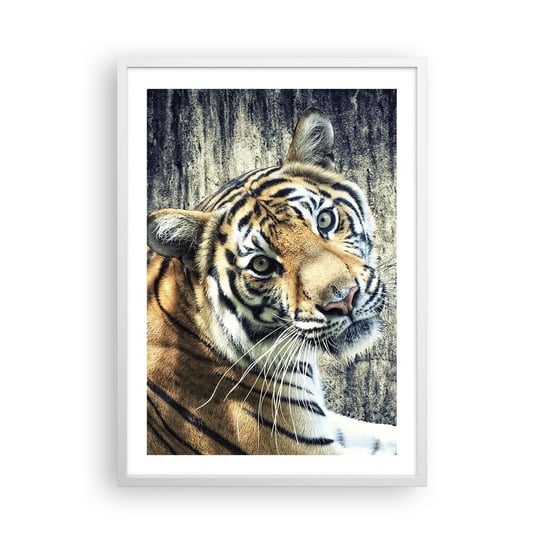 Obraz - Plakat - Portret w strugach światła - 50x70cm - Zwierzęta Tygrys Afryka - Nowoczesny modny obraz Plakat rama biała ARTTOR ARTTOR