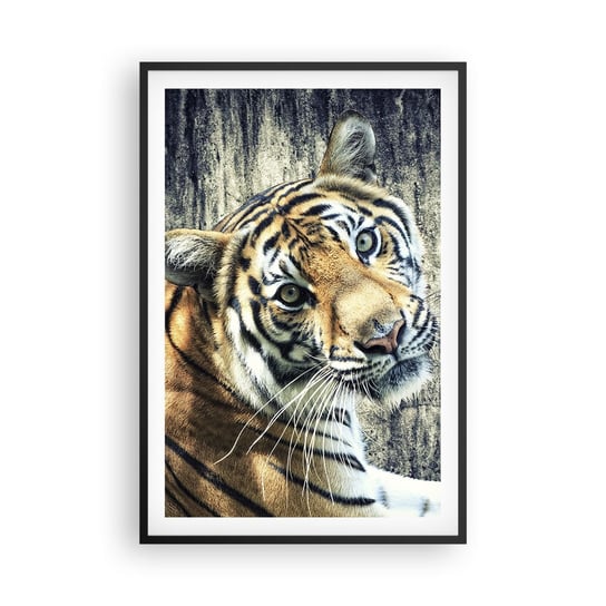 Obraz - Plakat - Portret w strugach światła - 61x91cm - Zwierzęta Tygrys Afryka - Foto Plakaty na ścianę w czarnej ramie - Plakat do Salonu Sypialni ARTTOR ARTTOR
