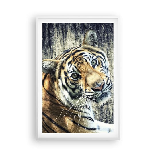Obraz - Plakat - Portret w strugach światła - 61x91cm - Zwierzęta Tygrys Afryka - Foto Plakaty na ścianę w ramie białej - Plakat do Salonu Sypialni ARTTOR ARTTOR