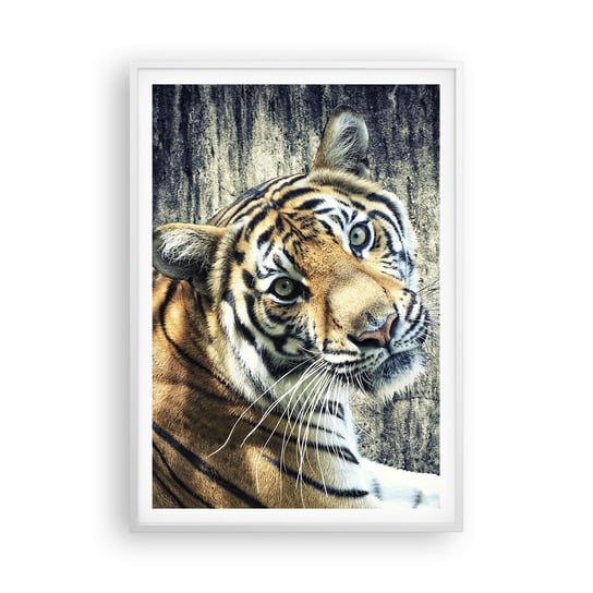 Obraz - Plakat - Portret w strugach światła - 70x100cm - Zwierzęta Tygrys Afryka - Foto Plakaty w ramie koloru białego do Salonu Sypialni ARTTOR ARTTOR
