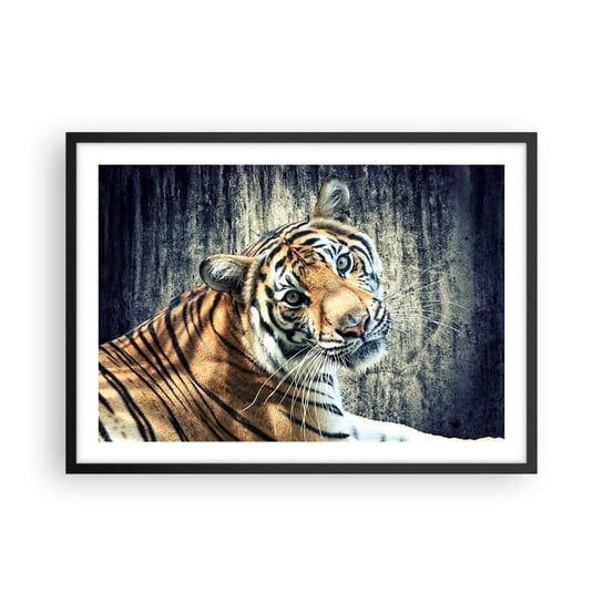 Obraz - Plakat - Portret w strugach światła - 70x50cm - Zwierzęta Tygrys Afryka - Nowoczesny modny obraz Plakat czarna rama ARTTOR ARTTOR