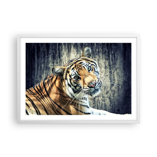 Obraz - Plakat - Portret w strugach światła - 70x50cm - Zwierzęta Tygrys Afryka - Nowoczesny modny obraz Plakat rama biała ARTTOR ARTTOR