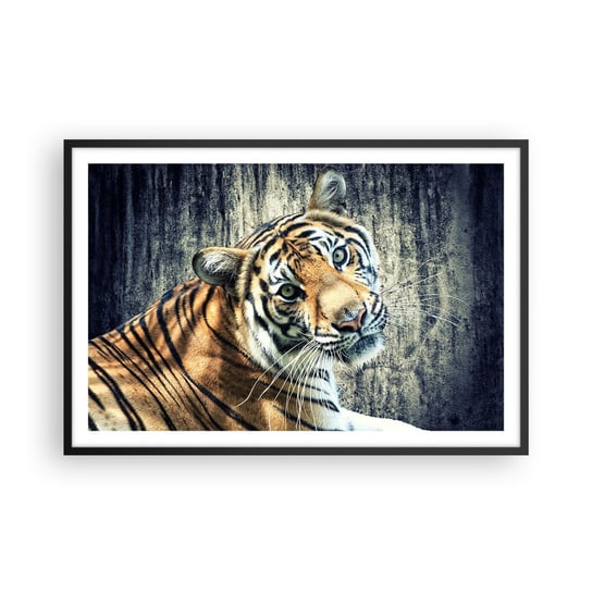 Obraz - Plakat - Portret w strugach światła - 91x61cm - Zwierzęta Tygrys Afryka - Foto Plakaty na ścianę w czarnej ramie - Plakat do Salonu Sypialni ARTTOR ARTTOR