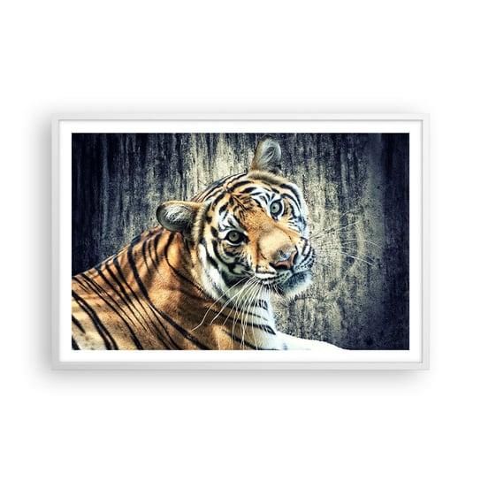 Obraz - Plakat - Portret w strugach światła - 91x61cm - Zwierzęta Tygrys Afryka - Foto Plakaty na ścianę w ramie białej - Plakat do Salonu Sypialni ARTTOR ARTTOR