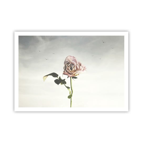 Obraz - Plakat - Powitanie wiosny - 100x70cm - Róża Kwiat Sztuka - Foto Plakaty bez ramy na ścianę do Salonu Sypialni ARTTOR ARTTOR