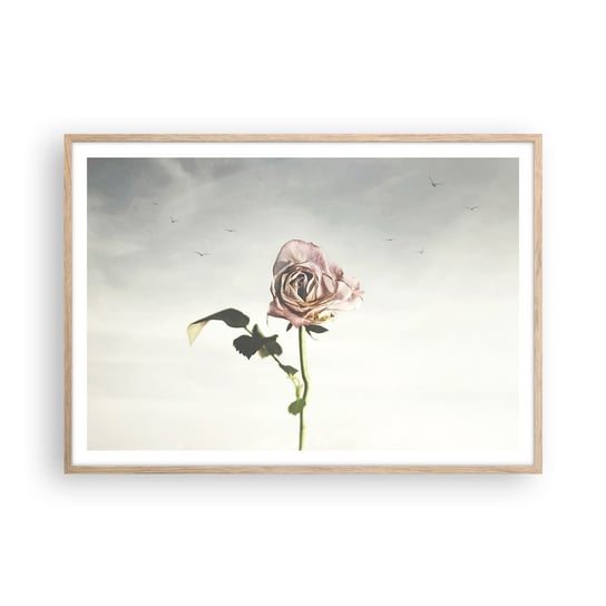 Obraz - Plakat - Powitanie wiosny - 100x70cm - Róża Kwiat Sztuka - Foto Plakaty w ramie koloru jasny dąb do Salonu Sypialni ARTTOR ARTTOR