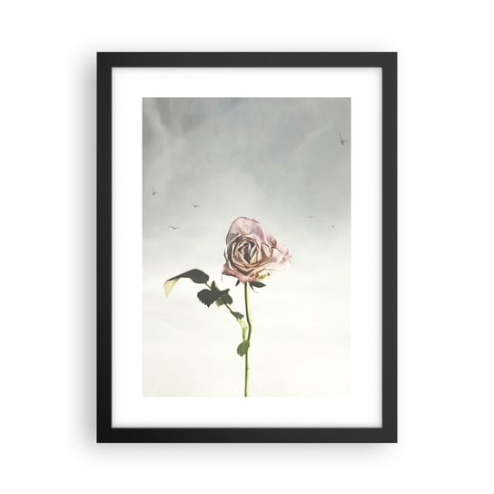 Obraz - Plakat - Powitanie wiosny - 30x40cm - Róża Kwiat Sztuka - Foto Plakaty na ścianę w czarnej ramie - Plakat do Salonu Sypialni ARTTOR ARTTOR