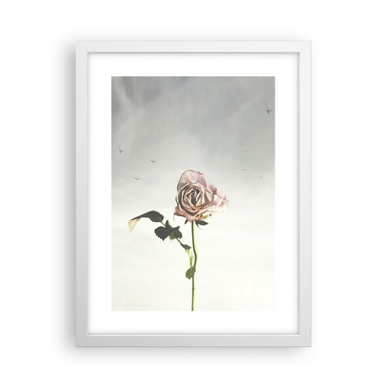 Obraz - Plakat - Powitanie wiosny - 30x40cm - Róża Kwiat Sztuka - Foto Plakaty na ścianę w ramie białej - Plakat do Salonu Sypialni ARTTOR ARTTOR
