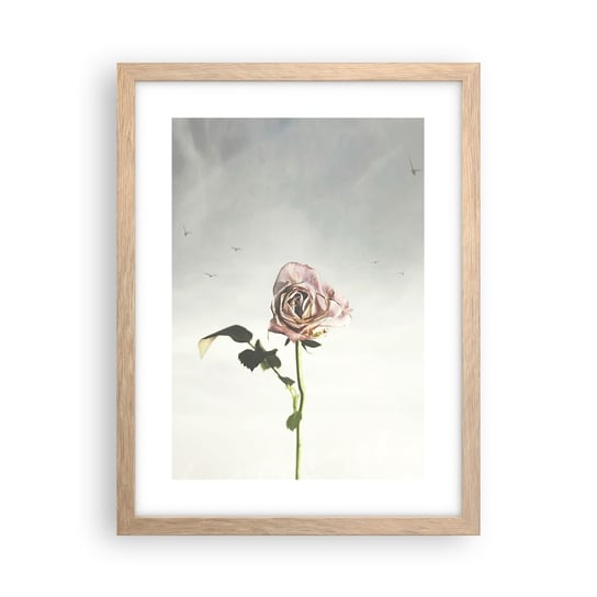 Obraz - Plakat - Powitanie wiosny - 30x40cm - Róża Kwiat Sztuka - Foto Plakaty na ścianę w ramie jasny dąb - Plakat do Salonu Sypialni ARTTOR ARTTOR