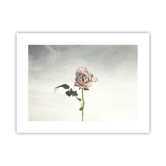 Obraz - Plakat - Powitanie wiosny - 40x30cm - Róża Kwiat Sztuka - Foto Plakaty na ścianę bez ramy - Plakat do Salonu Sypialni ARTTOR ARTTOR