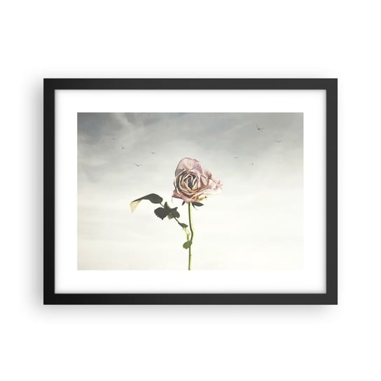 Obraz - Plakat - Powitanie wiosny - 40x30cm - Róża Kwiat Sztuka - Foto Plakaty na ścianę w czarnej ramie - Plakat do Salonu Sypialni ARTTOR ARTTOR