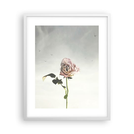 Obraz - Plakat - Powitanie wiosny - 40x50cm - Róża Kwiat Sztuka - Foto Plakaty w ramie koloru białego do Salonu Sypialni ARTTOR ARTTOR