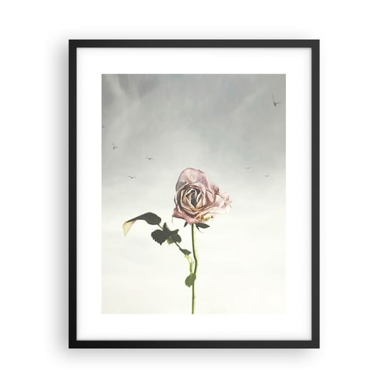Obraz - Plakat - Powitanie wiosny - 40x50cm - Róża Kwiat Sztuka - Foto Plakaty w ramie koloru czarnego do Salonu Sypialni ARTTOR ARTTOR