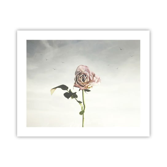 Obraz - Plakat - Powitanie wiosny - 50x40cm - Róża Kwiat Sztuka - Foto Plakaty bez ramy do Salonu Sypialni ARTTOR ARTTOR