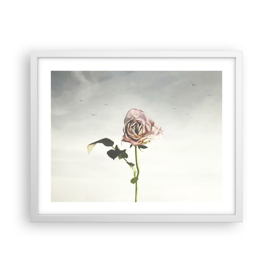 Obraz - Plakat - Powitanie wiosny - 50x40cm - Róża Kwiat Sztuka - Foto Plakaty w ramie koloru białego do Salonu Sypialni ARTTOR ARTTOR