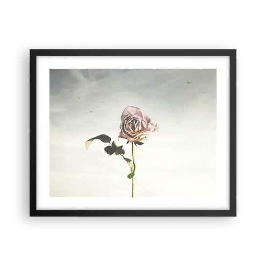 Obraz - Plakat - Powitanie wiosny - 50x40cm - Róża Kwiat Sztuka - Foto Plakaty w ramie koloru czarnego do Salonu Sypialni ARTTOR ARTTOR