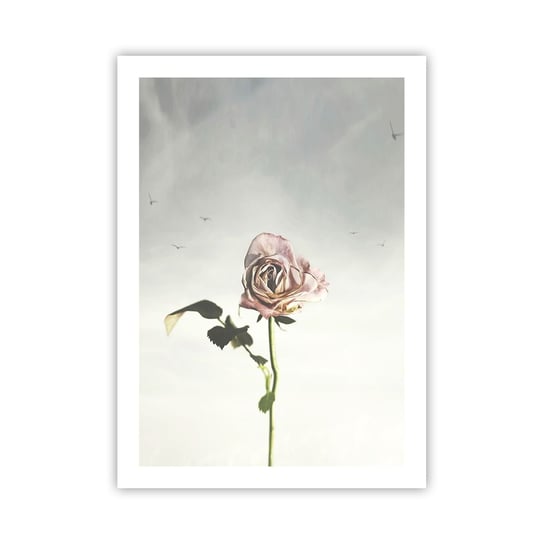 Obraz - Plakat - Powitanie wiosny - 50x70cm - Róża Kwiat Sztuka - Nowoczesny modny obraz Plakat bez ramy do Salonu Sypialni ARTTOR ARTTOR