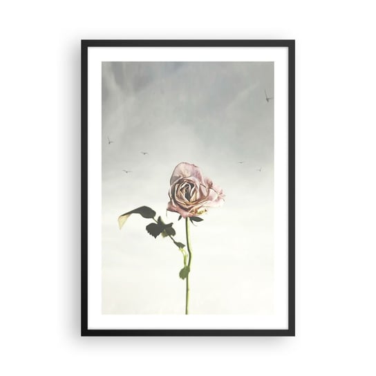 Obraz - Plakat - Powitanie wiosny - 50x70cm - Róża Kwiat Sztuka - Nowoczesny modny obraz Plakat czarna rama ARTTOR ARTTOR