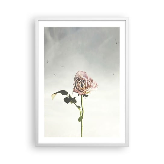 Obraz - Plakat - Powitanie wiosny - 50x70cm - Róża Kwiat Sztuka - Nowoczesny modny obraz Plakat rama biała ARTTOR ARTTOR