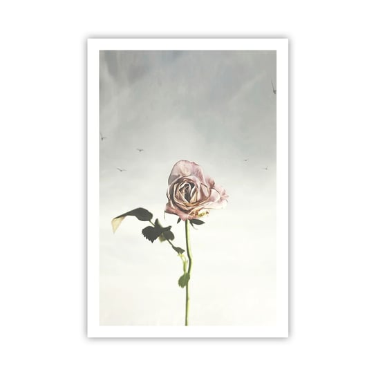 Obraz - Plakat - Powitanie wiosny - 61x91cm - Róża Kwiat Sztuka - Foto Plakaty na ścianę bez ramy - Plakat do Salonu Sypialni ARTTOR ARTTOR