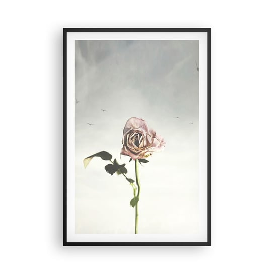 Obraz - Plakat - Powitanie wiosny - 61x91cm - Róża Kwiat Sztuka - Foto Plakaty na ścianę w czarnej ramie - Plakat do Salonu Sypialni ARTTOR ARTTOR