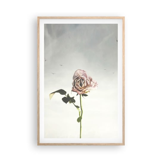 Obraz - Plakat - Powitanie wiosny - 61x91cm - Róża Kwiat Sztuka - Foto Plakaty na ścianę w ramie jasny dąb - Plakat do Salonu Sypialni ARTTOR ARTTOR