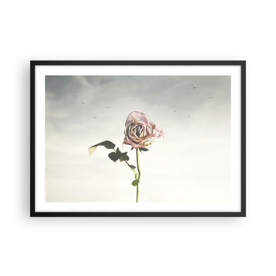 Obraz - Plakat - Powitanie wiosny - 70x50cm - Róża Kwiat Sztuka - Nowoczesny modny obraz Plakat czarna rama ARTTOR ARTTOR