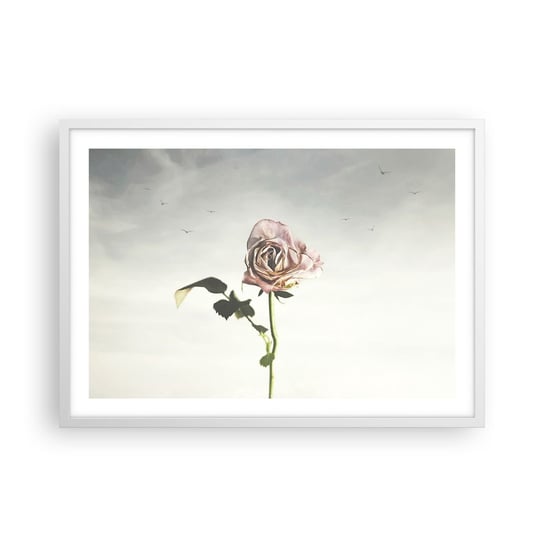 Obraz - Plakat - Powitanie wiosny - 70x50cm - Róża Kwiat Sztuka - Nowoczesny modny obraz Plakat rama biała ARTTOR ARTTOR