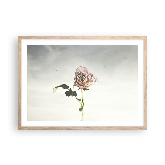 Obraz - Plakat - Powitanie wiosny - 70x50cm - Róża Kwiat Sztuka - Nowoczesny modny obraz Plakat rama jasny dąb ARTTOR ARTTOR