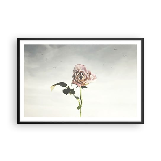 Obraz - Plakat - Powitanie wiosny - 91x61cm - Róża Kwiat Sztuka - Foto Plakaty na ścianę w czarnej ramie - Plakat do Salonu Sypialni ARTTOR ARTTOR