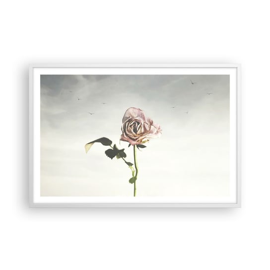 Obraz - Plakat - Powitanie wiosny - 91x61cm - Róża Kwiat Sztuka - Foto Plakaty na ścianę w ramie białej - Plakat do Salonu Sypialni ARTTOR ARTTOR