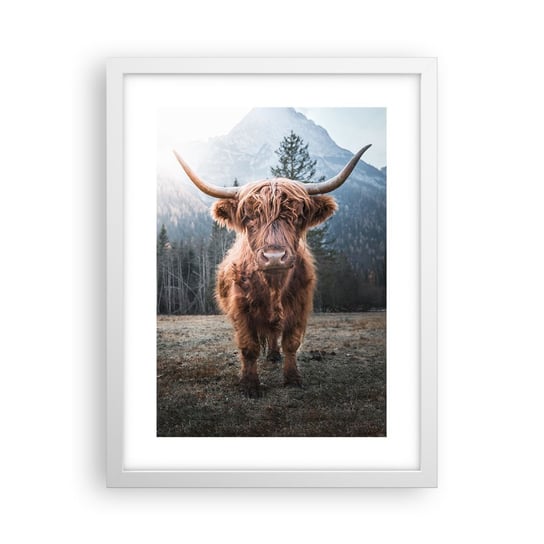 Obraz - Plakat - Pozdrowienia z górskiej łąki - 30x40cm - Góry Szkocka Krowa Pastwisko - Foto Plakaty na ścianę w ramie białej - Plakat do Salonu Sypialni ARTTOR ARTTOR