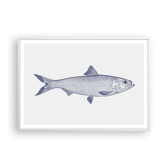Obraz - Plakat - Pozdrowienia z północnych mórz - 100x70cm - Ryba Zwierzę Morskie Styl Nadmorski - Foto Plakaty w ramie koloru białego do Salonu Sypialni ARTTOR ARTTOR