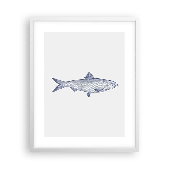 Obraz - Plakat - Pozdrowienia z północnych mórz - 40x50cm - Ryba Zwierzę Morskie Styl Nadmorski - Foto Plakaty w ramie koloru białego do Salonu Sypialni ARTTOR ARTTOR
