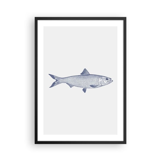 Obraz - Plakat - Pozdrowienia z północnych mórz - 50x70cm - Ryba Zwierzę Morskie Styl Nadmorski - Nowoczesny modny obraz Plakat czarna rama ARTTOR ARTTOR