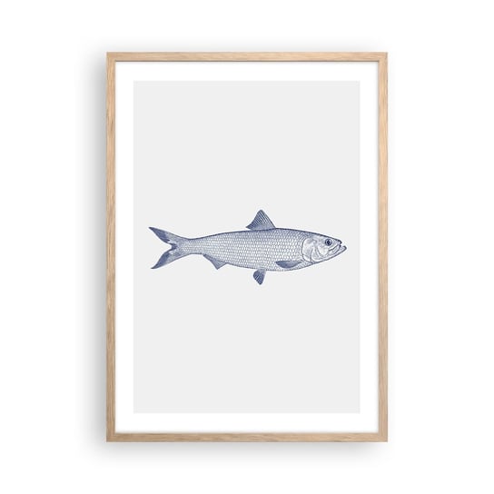 Obraz - Plakat - Pozdrowienia z północnych mórz - 50x70cm - Ryba Zwierzę Morskie Styl Nadmorski - Nowoczesny modny obraz Plakat rama jasny dąb ARTTOR ARTTOR