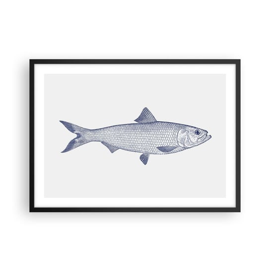 Obraz - Plakat - Pozdrowienia z północnych mórz - 70x50cm - Ryba Zwierzę Morskie Styl Nadmorski - Nowoczesny modny obraz Plakat czarna rama ARTTOR ARTTOR