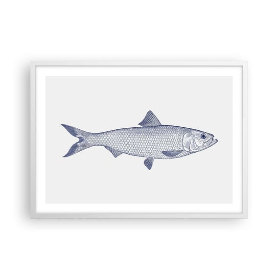 Obraz - Plakat - Pozdrowienia z północnych mórz - 70x50cm - Ryba Zwierzę Morskie Styl Nadmorski - Nowoczesny modny obraz Plakat rama biała ARTTOR ARTTOR
