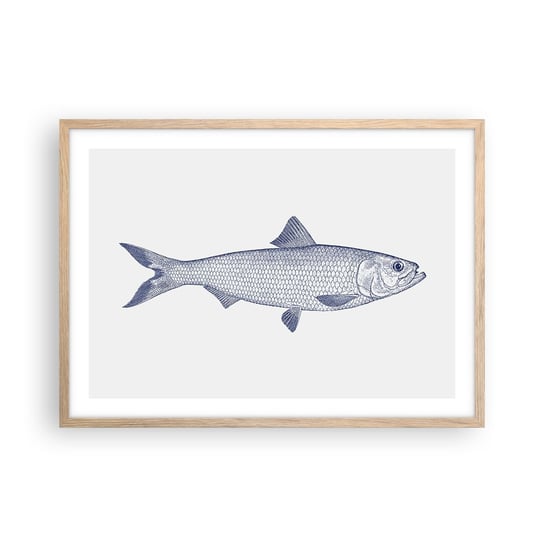 Obraz - Plakat - Pozdrowienia z północnych mórz - 70x50cm - Ryba Zwierzę Morskie Styl Nadmorski - Nowoczesny modny obraz Plakat rama jasny dąb ARTTOR ARTTOR
