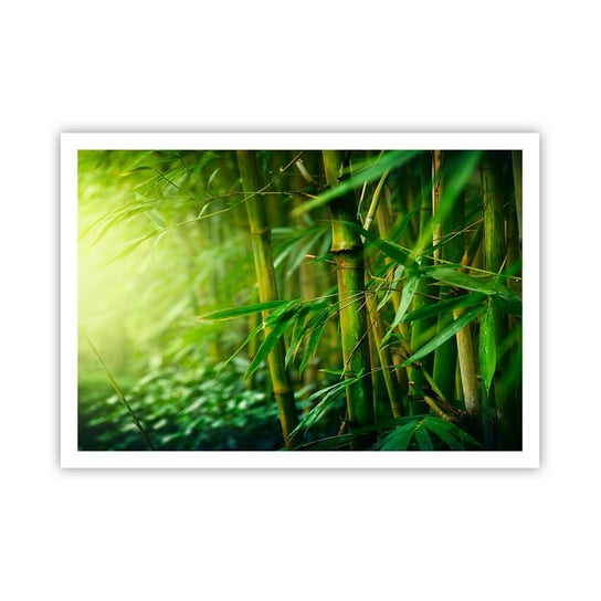 Obraz - Plakat - Poznać zieleń samą w sobie - 100x70cm - Roślina Bambus Dżungla - Foto Plakaty bez ramy na ścianę do Salonu Sypialni ARTTOR ARTTOR