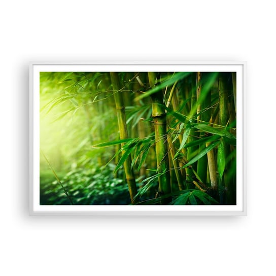 Obraz - Plakat - Poznać zieleń samą w sobie - 100x70cm - Roślina Bambus Dżungla - Foto Plakaty w ramie koloru białego do Salonu Sypialni ARTTOR ARTTOR