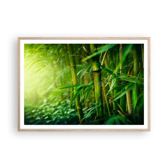 Obraz - Plakat - Poznać zieleń samą w sobie - 100x70cm - Roślina Bambus Dżungla - Foto Plakaty w ramie koloru jasny dąb do Salonu Sypialni ARTTOR ARTTOR